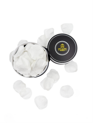 Spec Black Paper Box (100 Preserved Petals)