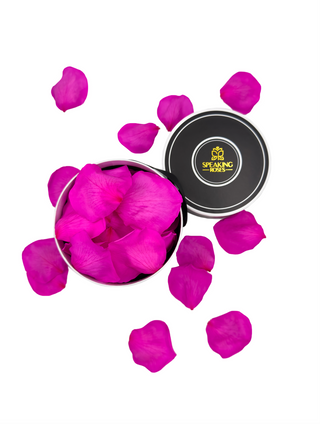 Spec Black Paper Box (100 Preserved Petals)