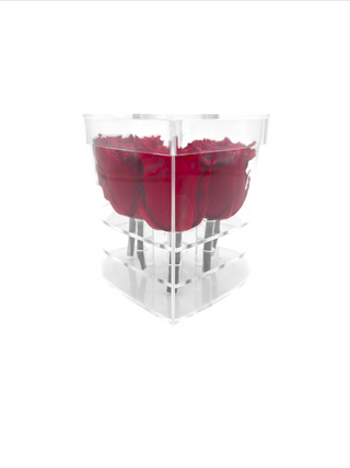 Heart Acrylic Box  (6 Preserved Stems)
