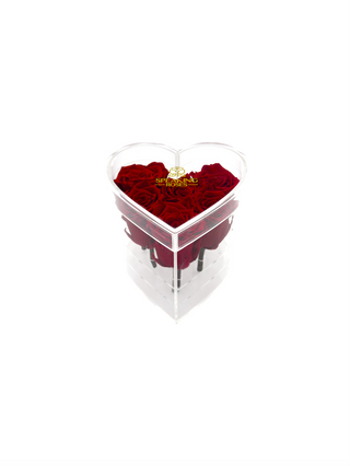 Heart Acrylic Box  (6 Preserved Stems)