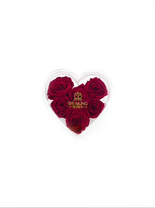 Heart Acrylic Box  (6 Preserved Stems)