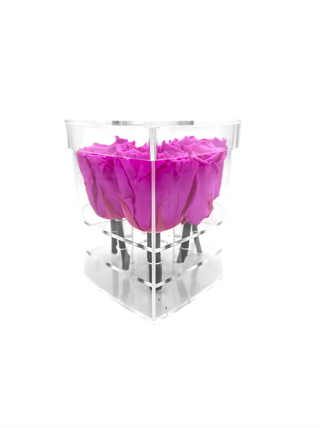 Heart Acrylic Box  (6 Preserved Stems)