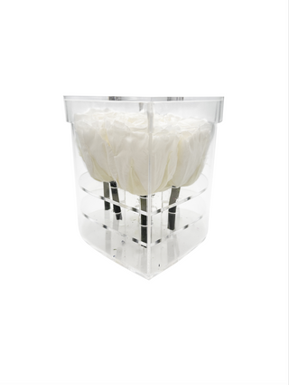 Heart Acrylic Box  (6 Preserved Stems)