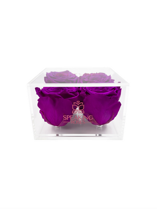 Square Acrylic Box  (4 Preserved Heads)