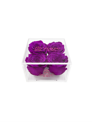 Square Acrylic Box  (4 Preserved Heads)