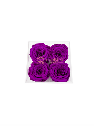 Square Acrylic Box  (4 Preserved Heads)