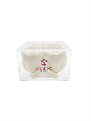 Square Acrylic Box  (4 Preserved Heads)