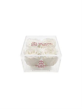 Square Acrylic Box  (4 Preserved Heads)
