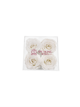 Square Acrylic Box  (4 Preserved Heads)