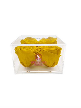 Square Acrylic Box  (4 Preserved Heads)