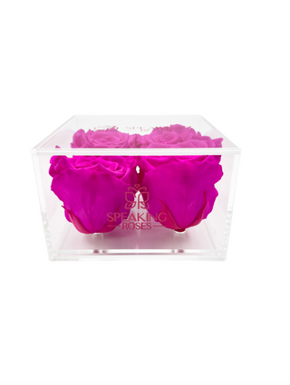 Square Acrylic Box  (4 Preserved Heads)