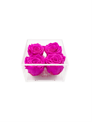 Square Acrylic Box  (4 Preserved Heads)