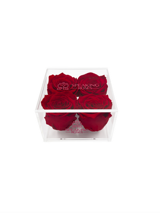 Square Acrylic Box  (4 Preserved Heads)