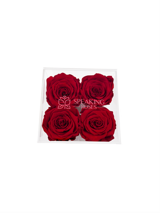 Square Acrylic Box  (4 Preserved Heads)
