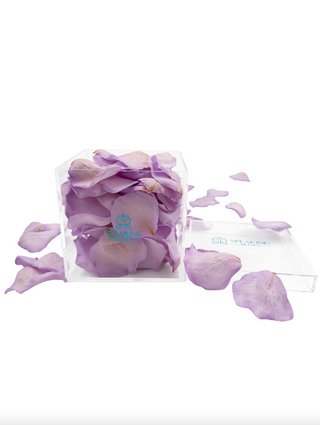 Acrylic Square Box (150 Preserved Petals)
