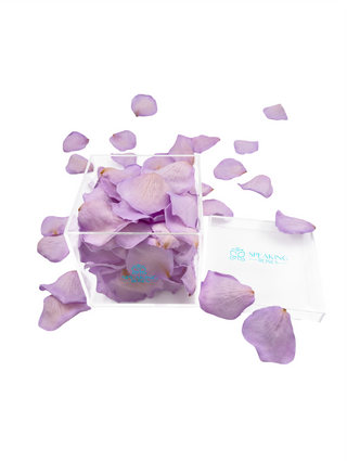 Acrylic Square Box (150 Preserved Petals)