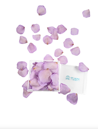 Acrylic Square Box (150 Preserved Petals)