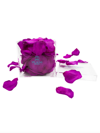 Acrylic Square Box (150 Preserved Petals)