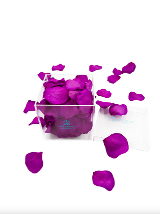 Acrylic Square Box (150 Preserved Petals)