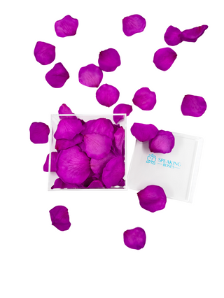 Acrylic Square Box (150 Preserved Petals)