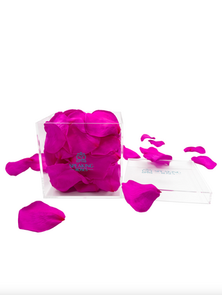 Acrylic Square Box (150 Preserved Petals)