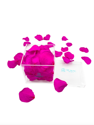 Acrylic Square Box (150 Preserved Petals)