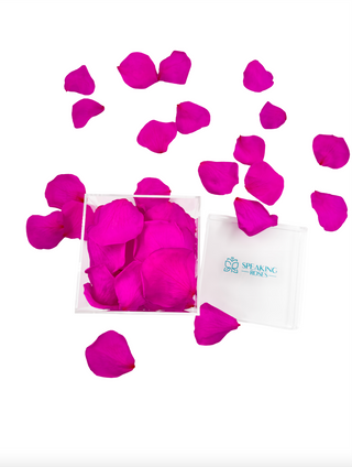 Acrylic Square Box (150 Preserved Petals)