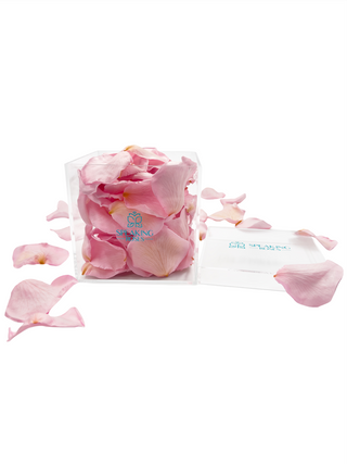 Acrylic Square Box (150 Preserved Petals)