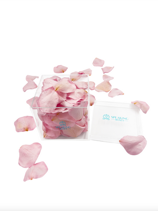 Acrylic Square Box (150 Preserved Petals)