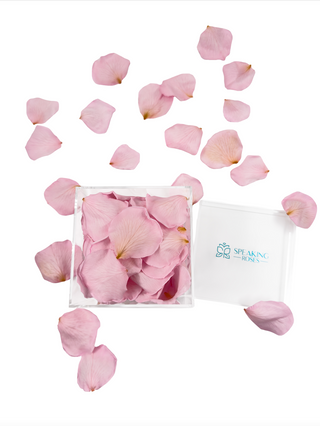 Acrylic Square Box (150 Preserved Petals)