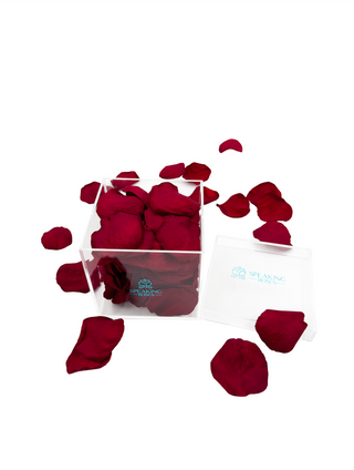 Acrylic Square Box (150 Preserved Petals)