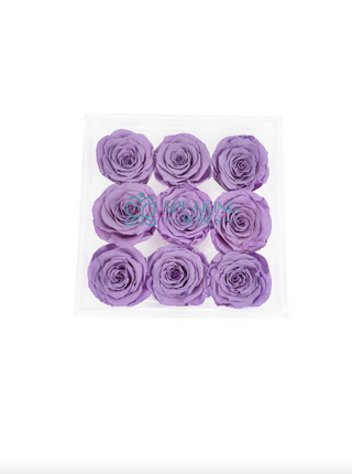 Acrylic Square Box (9 Preserved Rose Stem)