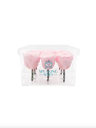 Acrylic Square Box (9 Preserved Rose Stem)