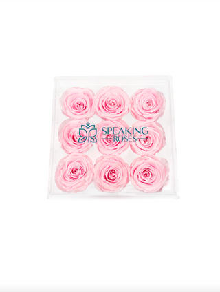 Acrylic Square Box (9 Preserved Rose Stem)