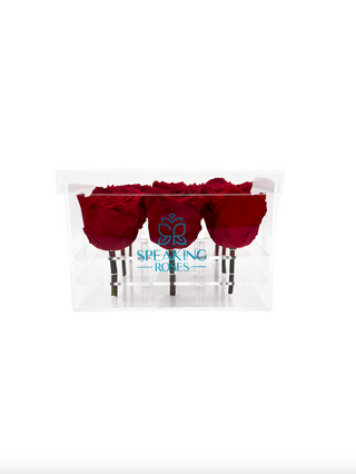 Acrylic Square Box (9 Preserved Rose Stem)