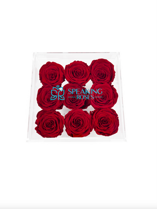 Acrylic Square Box (9 Preserved Rose Stem)