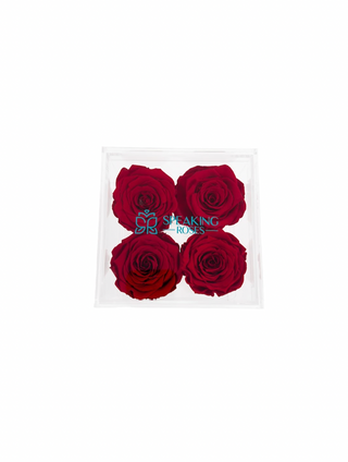 Square Acrylic Box  (4 Stems Heads)