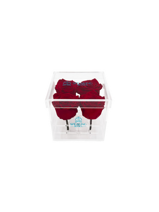 Square Acrylic Box  (4 Stems Heads)