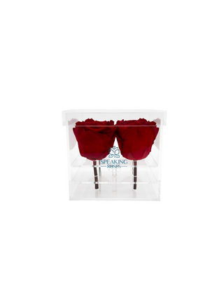 Square Acrylic Box  (4 Stems Heads)