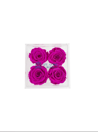 Square Acrylic Box  (4 Stems Heads)