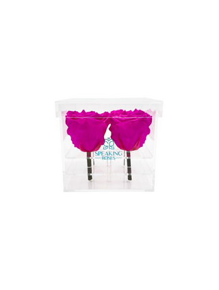Square Acrylic Box  (4 Stems Heads)