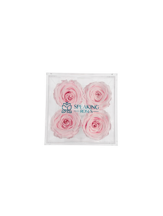Square Acrylic Box  (4 Stems Heads)