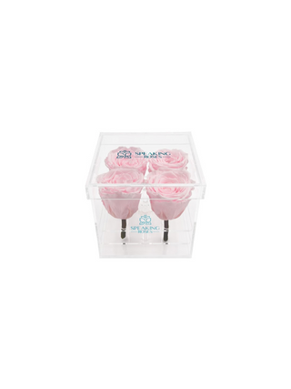 Square Acrylic Box  (4 Stems Heads)