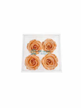 Square Acrylic Box  (4 Stems Heads)