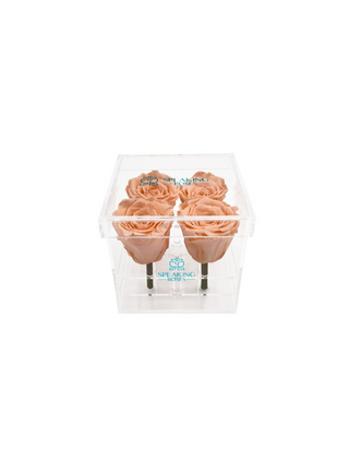 Square Acrylic Box  (4 Stems Heads)