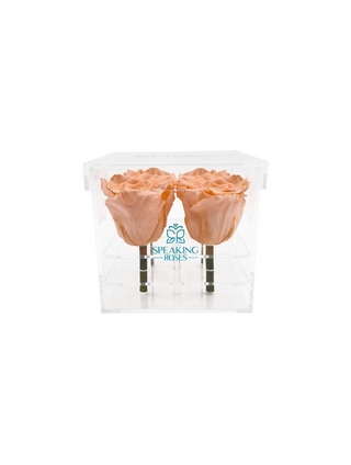 Square Acrylic Box  (4 Stems Heads)