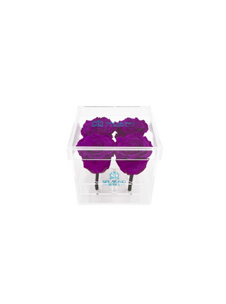 Square Acrylic Box  (4 Stems Heads)