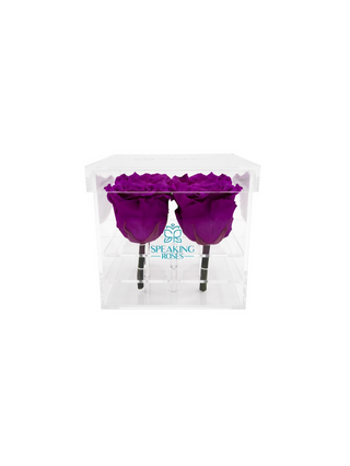 Square Acrylic Box  (4 Stems Heads)