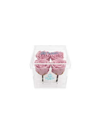 Square Acrylic Box  (4 Stems Heads)