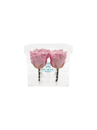 Square Acrylic Box  (4 Stems Heads)